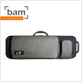 [Bam] Lotus Hightech Violin Case - Bayadere