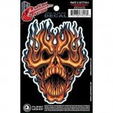 Planet Waves Guitar Tattoo, Flame Whip Skull