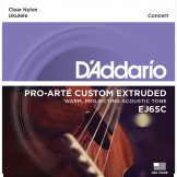 EJ65C Pro-Arté Custom Extruded Ukulele, Concert