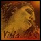 Pirastro Evah Pirazzi Gold Viola String