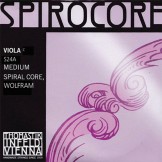 Spricore Viola C낱현 (422809)