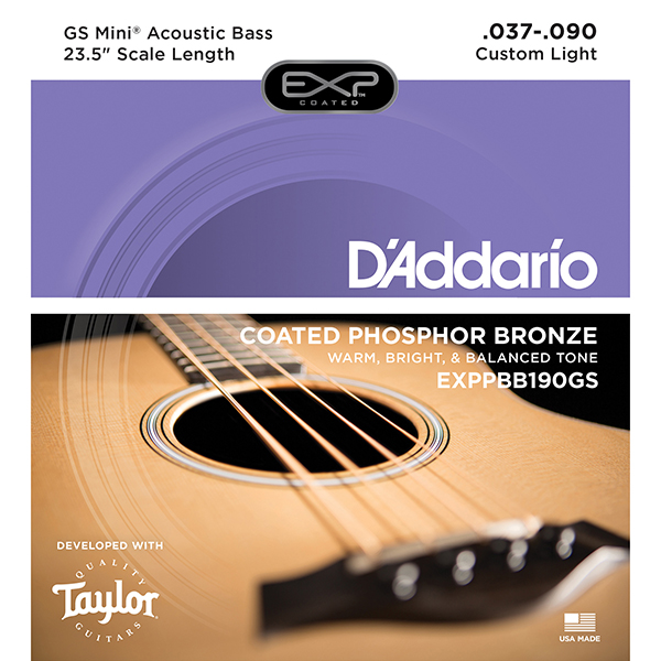 Acoustic Bass Taylor GS Mini Custom String EXPPBB190GS