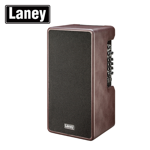 Laney A-DUO