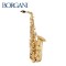 146년 전통의 이탈리아 명품 수제 알토색소폰<br> BORGANI "135" GOLD 24K 200G