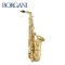 146년 전통의 이탈리아 명품 수제 알토색소폰<br> BORGANI "135" PEARL GOLD 24K 200PG