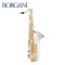 146년 전통의 이탈리아 명품 수제 테너색소폰<br> BORGANI "JUBILEE"  "JOE LOVANO" JLT2000