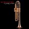 Schagerl Trumpet - James Morrison